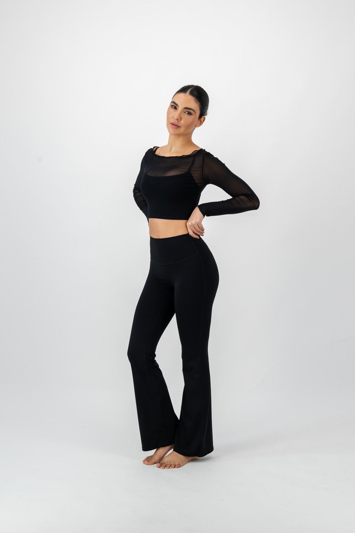 Veil Sheer Top